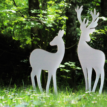 Reh Reserl, 106,5 cm - Hirsch Herbert 140 cm, davon ca. 20 cm zum Stecken